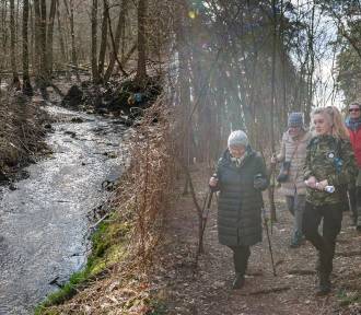 MODrzew zorganizował spacer w okolicy Młynu Tańskich [zdjęcia]