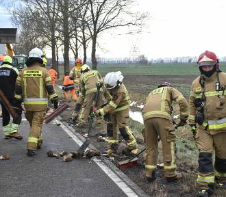 Tragedia na DK 22, inne wypadki i dwa pożary. Tygodniowy raport PSP Malbork