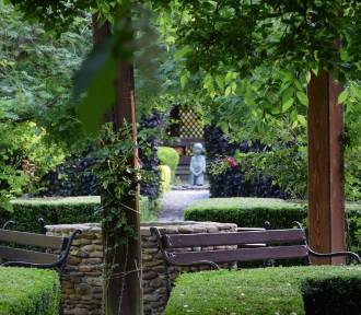 Krzysztof Penderecki ze swojego ogrodu w Lusławicach uczynił namiastkę raju na ziemi