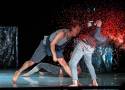 Taneczny „Romeos&Julias” i marionetkowy „Hamlet w drodze” z nagrodami. 26. Międzynarodowy Festiwal Szekspirowski w Gdańsku | ZDJĘCIA