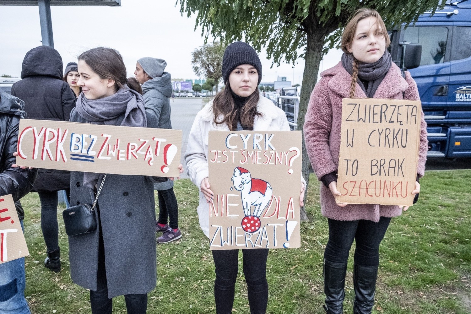 Protestujący podkreślają: „Jesteśmy zwolennikami sztuki cyrkowej reprezentowanej przez ludzi, którzy z własnej i nieprzymuszonej woli prezentują swoje umiejętności”