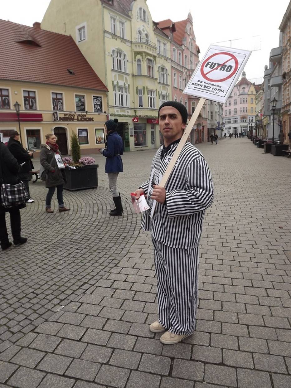 legalny demonstrant wielce uczuciowy