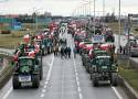 Nie wszystkie blokady zakończyły się 20 lutego. Tu protest rolników dalej trwa!