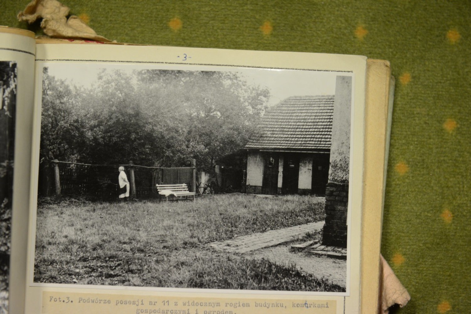18 sierpnia 1972 roku Wanda P