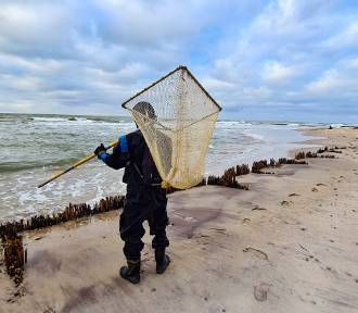 Piękno plaży nad Bałtykiem w Kopaniu. ZDJĘCIA ze stycznia 2022 roku. Złoto Bałtyku