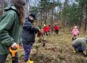 Młodzi i starsi ochotnicy OSP sadzili las. W kilka godzin posadzili 900 jodeł!