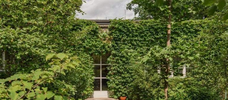 Zdjęcie artykułu z dnia 17-11-2025