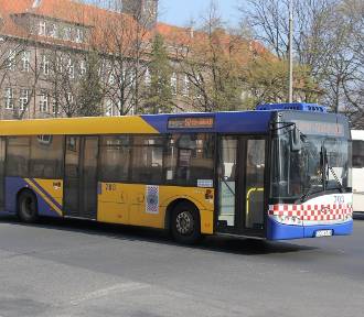 Jelenia Góra Pokaz Impresji W Ramacha Akcji Lato W Teatrze Norwida
