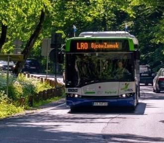 Autobusem do zoo lub Ojcowa. Linie sezonowe i rekreacyjne w poświąteczny weekend