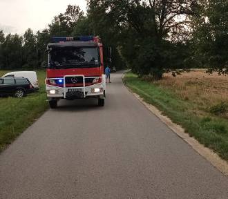 Śmiertelny wypadek w gminie Łask. Motocyklista zginął po zderzeniu z koniem