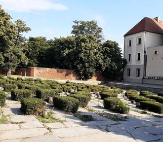 Zamkowe ogrody zamiast starego amfiteatru? Tak może się zmienić otoczenie muzeum