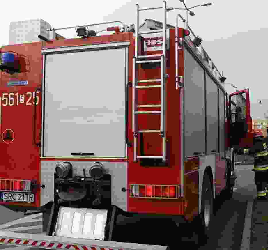 Sylwester 2014 z płonącymi drzewami