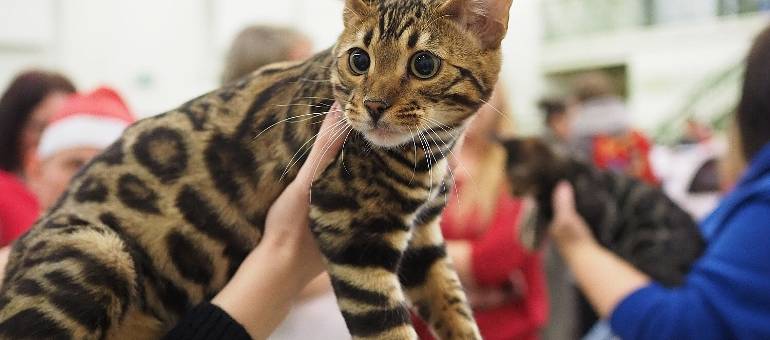 Zdjęcie artykułu z dnia 15-11-2025