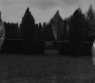Wernisaż wystawy "Arboretum Krzysztofa Pendereckiego" 