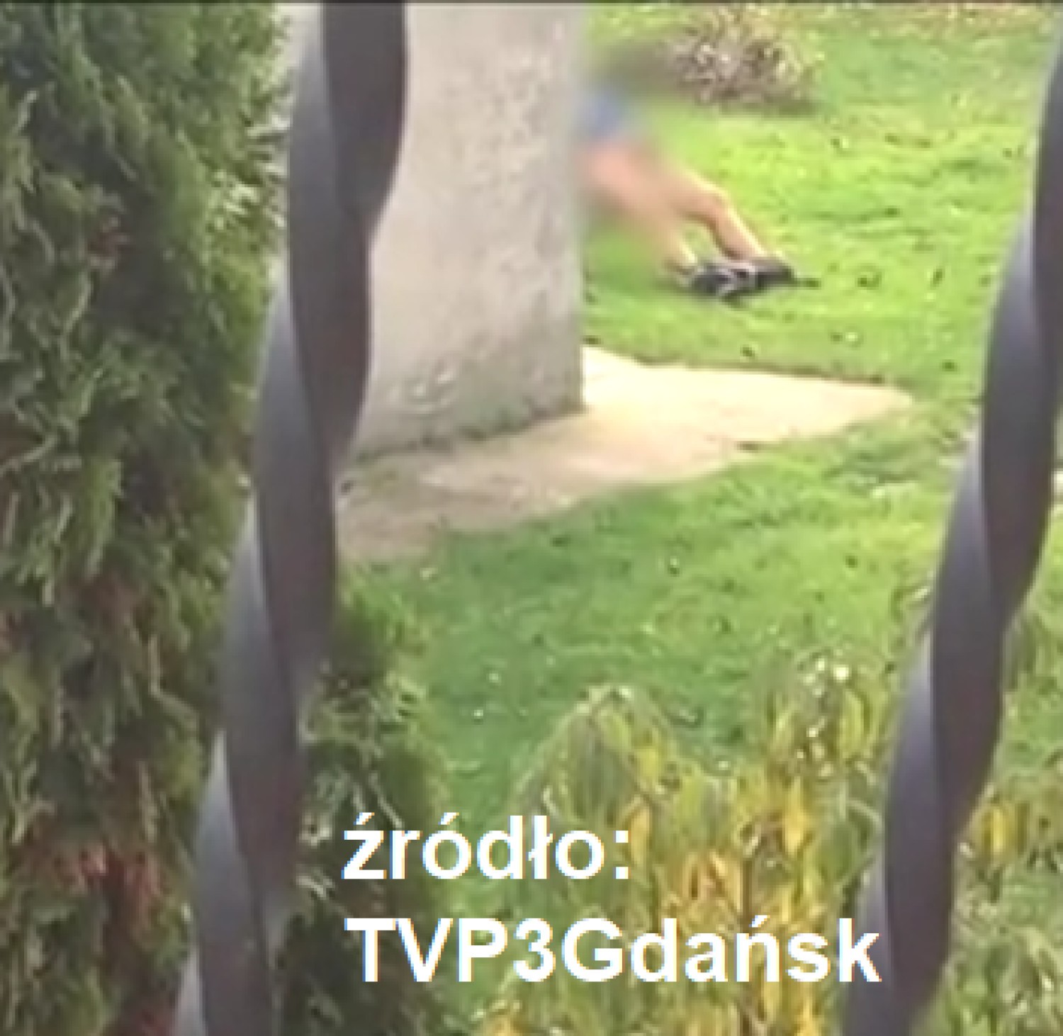 Materiał nadesłany przez Czytelnika
