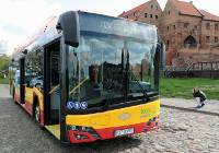 Rewolucja w kursowaniu autobusów MZK Grudziądz. Zmiany w rozkładach od 1 marca