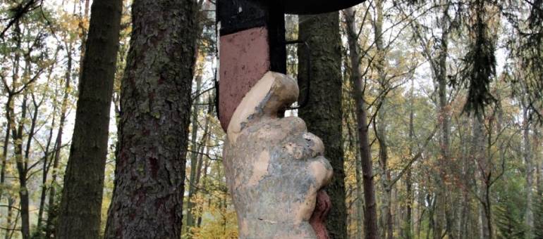 Zdjęcie artykułu z dnia 23-02-2026