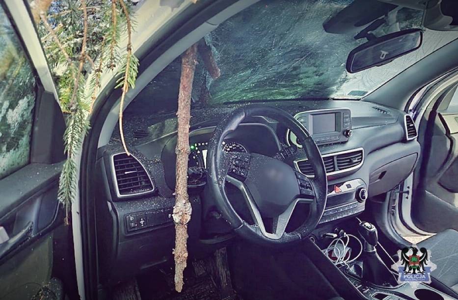 Drzewo spadło na samochód w Jedlinie-Zdroju! Kierowca oszukał przeznaczenie. Ponad 200 interwencji strażaków w weekend! Służby apelują