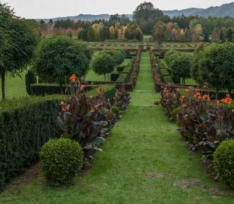 Park i arboretum w Lusławicach zachęcają do niezwykłych, jesiennych spacerów