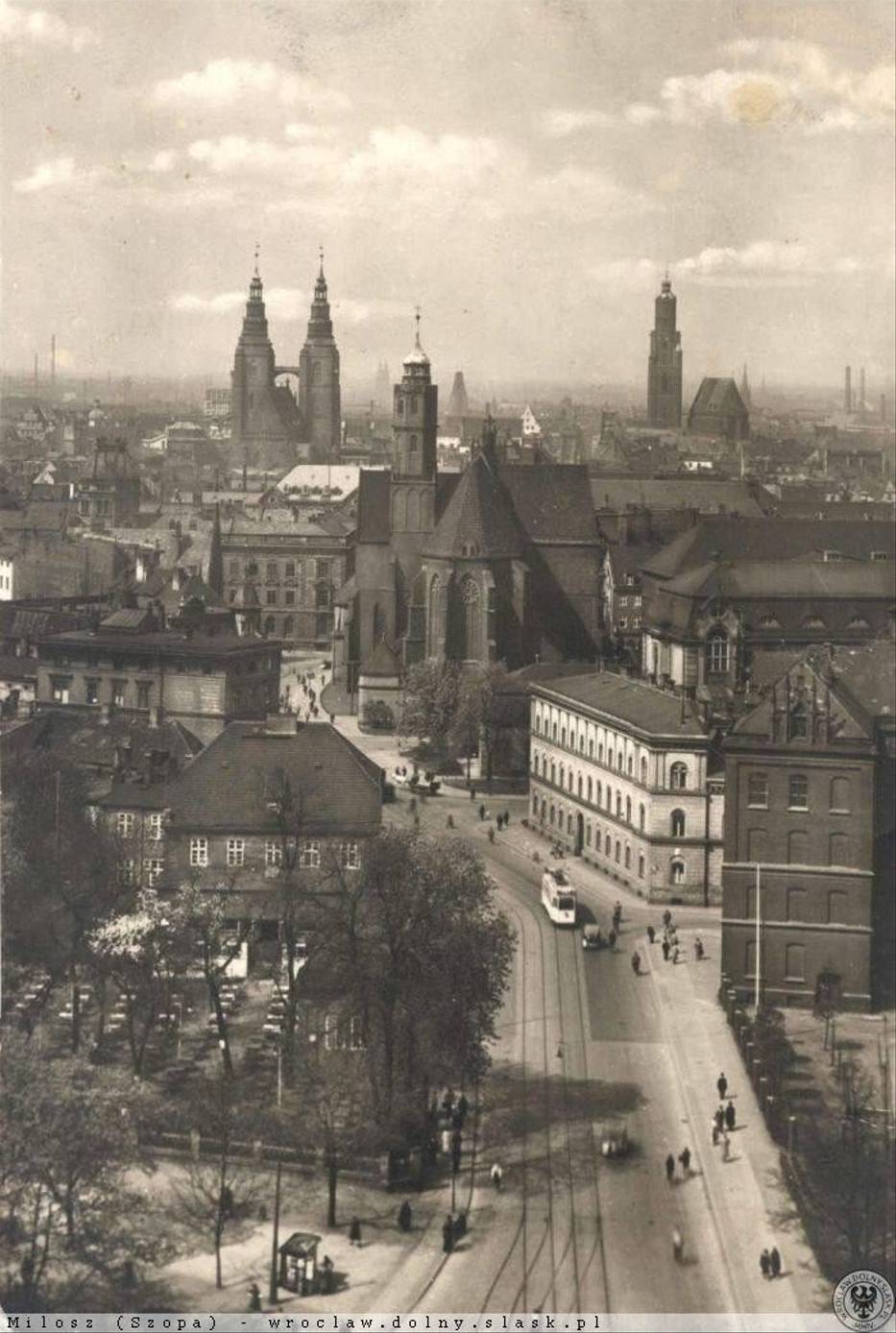 https://d-nm.ppstatic.pl/kadr/k/r/d5/90/520d3ed25403f_o,size,933x0,q,70,h,036c1e.jpg