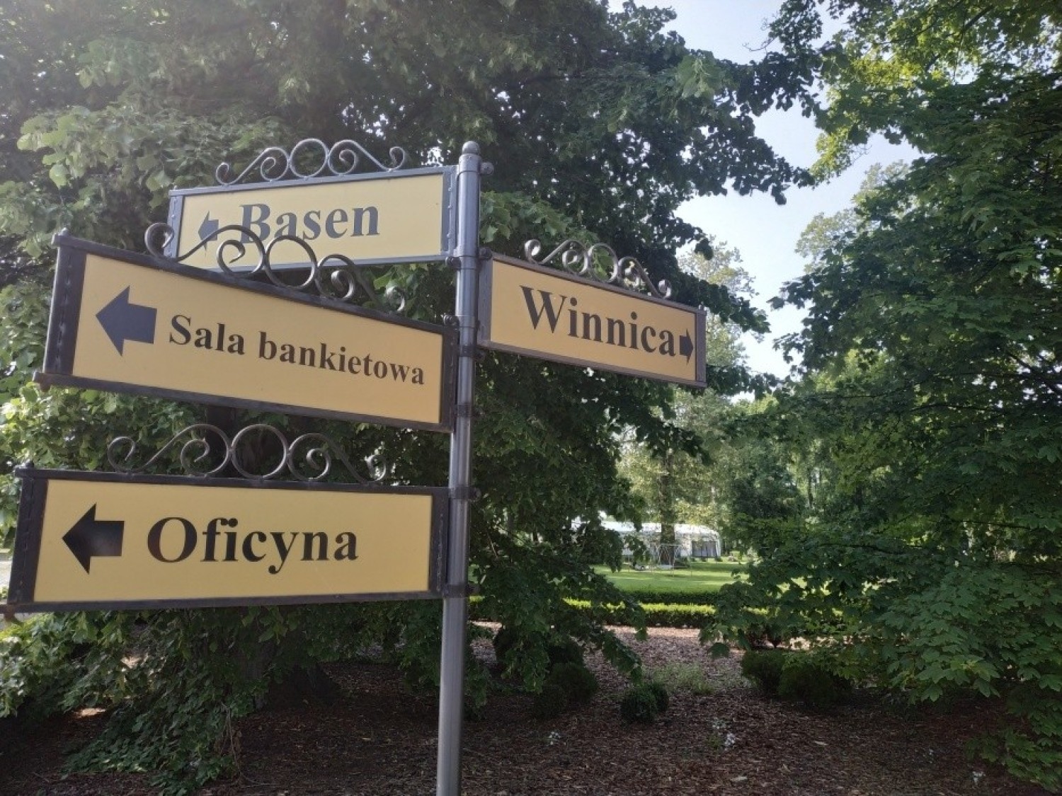 Pałac Wiechlice, tu winnica jest jedną z wielu atrakcji dla gości hotelowych