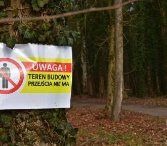 Jest zakaz wstępu do części parku od strony Radzynia koło Sławy. Rusza rewitalizacja 