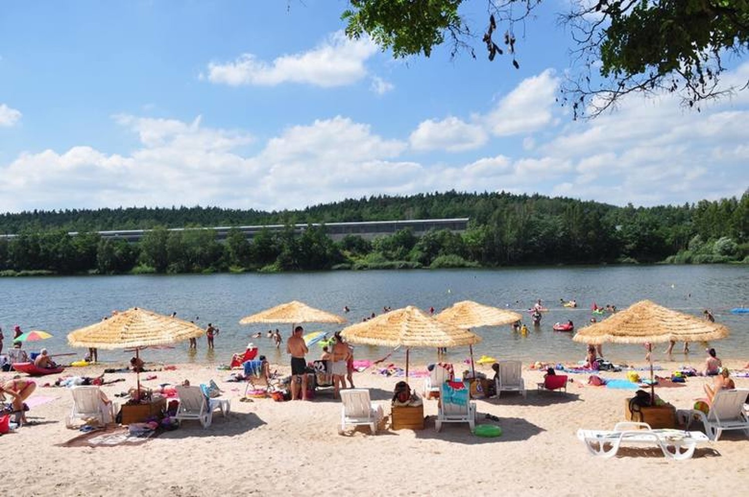 Najpiękniejsze plaże w województwie świętokrzyskim. Gdzie warto się wybrać w upalne dni?