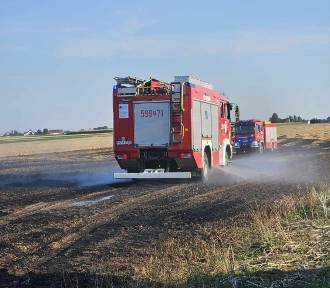 Pracowity początek tygodnia strażaków w powiecie szamotulskim