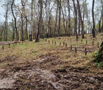 Trwa rewitalizacja cmentarza ofiar II wojny światowej koło Nowego Wiśnicza