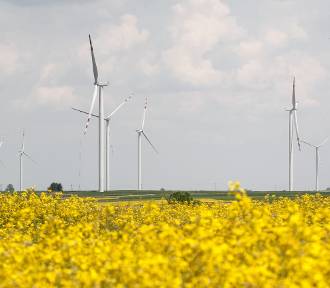 Będzie miejska farma wiatrowa i własny wodór z energii słonecznej?
