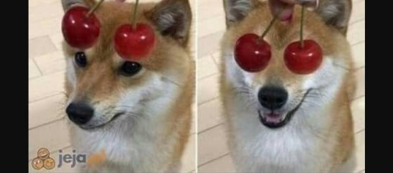 Zdjęcie artykułu z dnia 05-03-2026