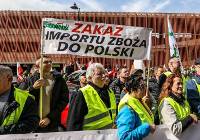 Protest pomorskich rolników w Gdańsku. Wśród haseł: Polska żywność to niepodległość 