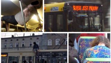 W Siemianowicach śląskich Już Drugi Raz Zorganizowano Zawody Dla