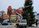 W Pucku zaczyna robić się świątecznie: na Starym Rynku stanęła choinka