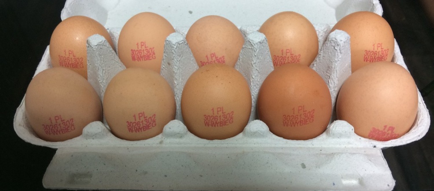 Jajka dużego producenta wycofywane są ze sklepów