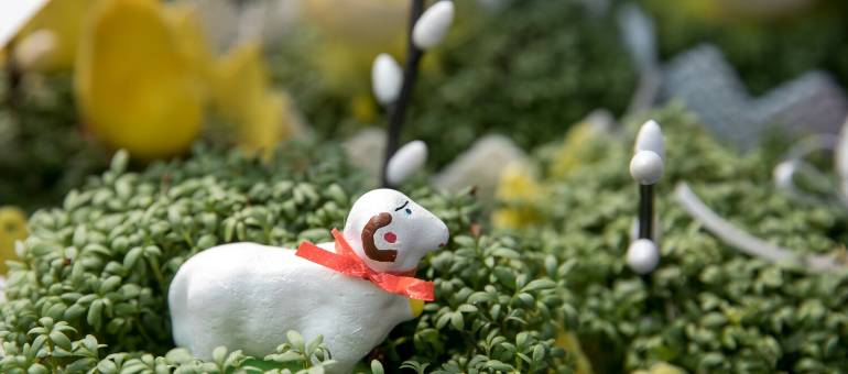 Zdjęcie artykułu z dnia 25-03-2026