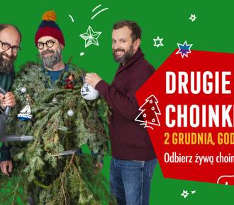 "Drugie życie choinki" w Focus Park