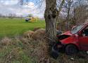 Groźny wypadek w gminie Poddębice. Osobówka czołowo uderzyła w drzewo ZDJĘCIA