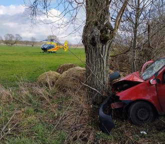 Groźny wypadek w gminie Poddębice. Osobówka czołowo uderzyła w drzewo ZDJĘCIA