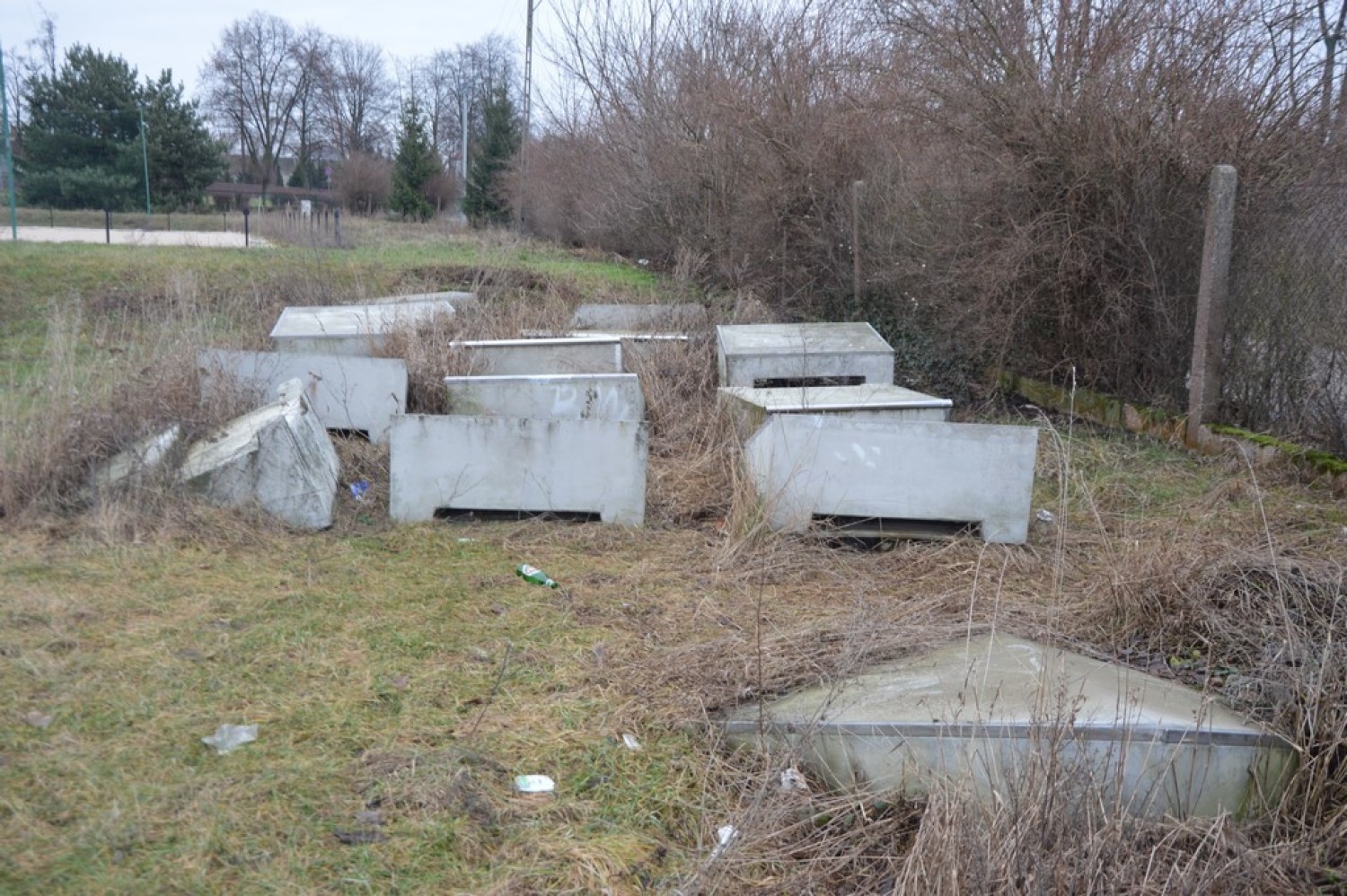 Czternaście betonowych elementów skateparku zarosły chwasty