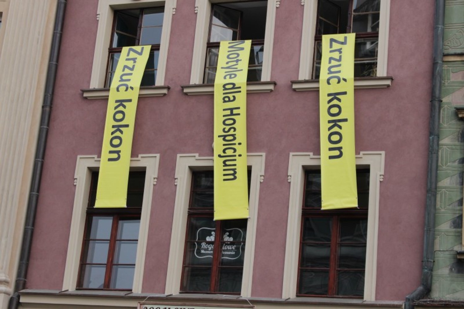 "Dzień Motyla" w Poznaniu: Happening "Zrzuć Kokon"