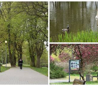Wiosna w pełni w Parku Kultury i Wypoczynku w Słupsku! [ZDJĘCIA]