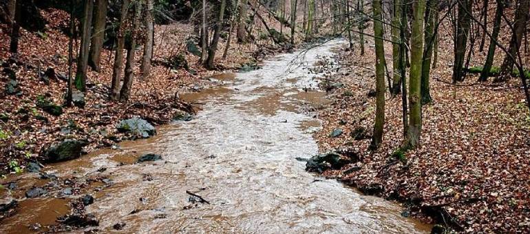 Zdjęcie artykułu z dnia 17-03-2026