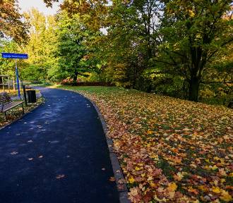 Tutaj jesień wygląda zjawiskowo! Przepiękny park zachwyca. Dzika przyroda i cisza