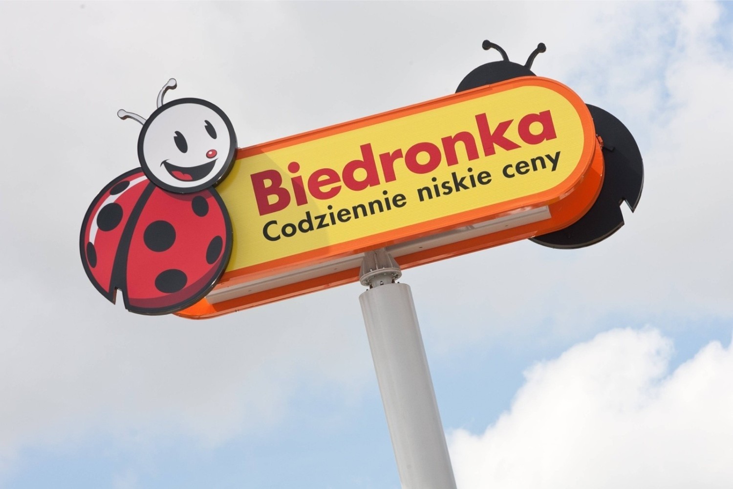 Biedronka daje podwyżki! Już od stycznia 2020 r