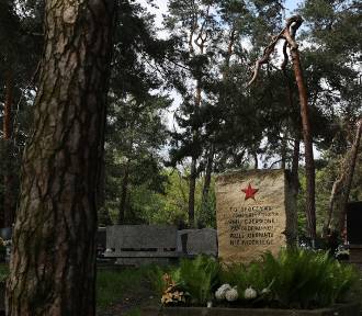 Mało znany cmentarz ukryty w Lesie Borkowskim. Tu spoczywają jeńcy radzieccy