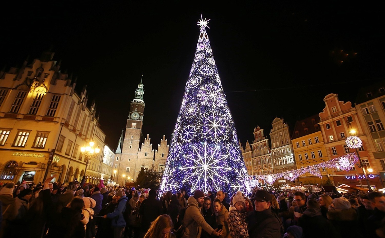 Choinka na Rynku we Wrocławiu