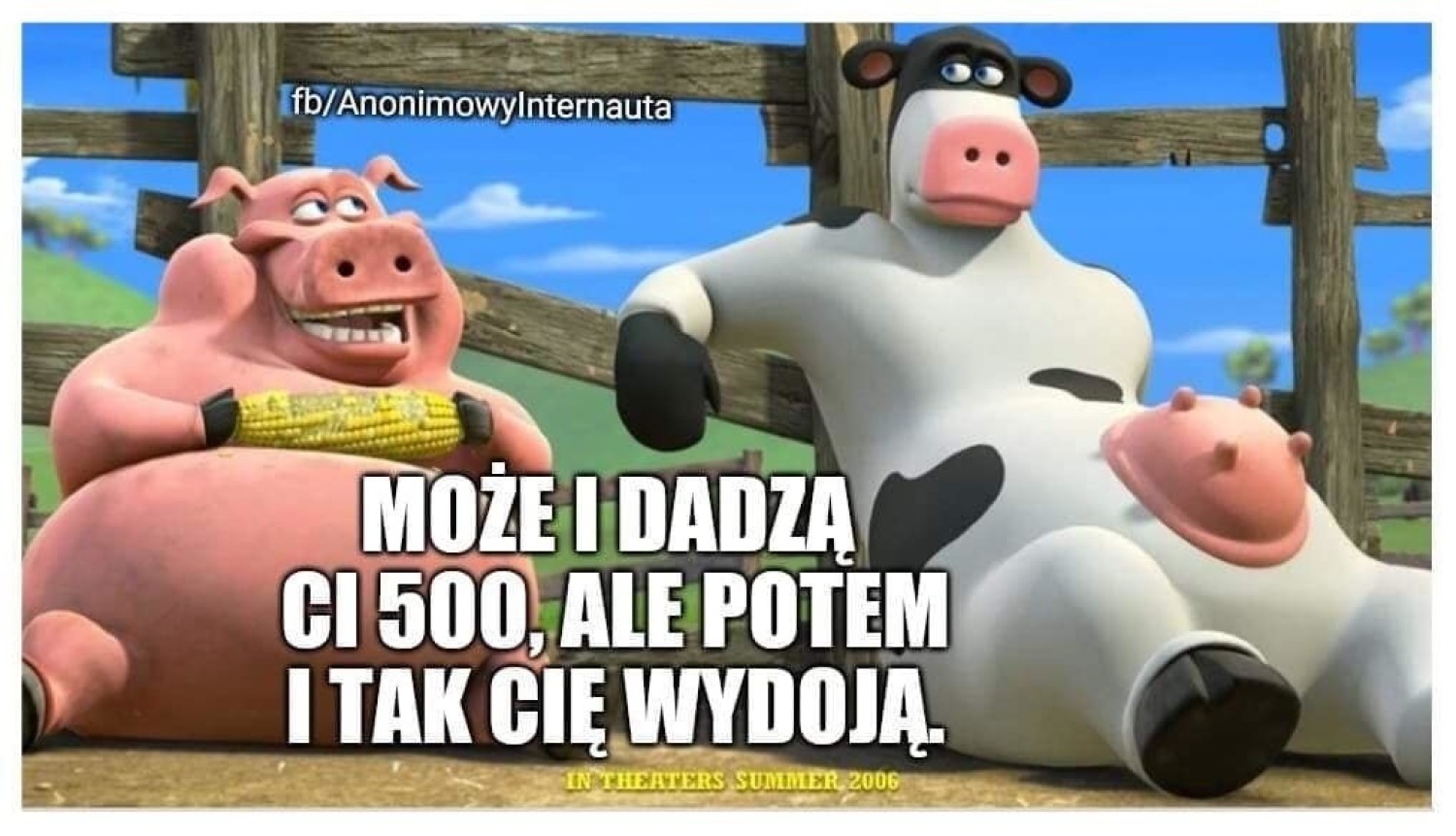 Krowa Plus i Świnia Plus