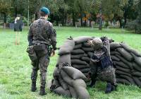 Ruszają kwalifikacje wojskowe na Dolnym Śląsku. Kto musi się stawić na komisji?