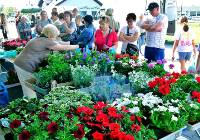 Wiosenny kiermasz krzewów i kwiatów ozdobnych w Złoczewie 2024 ZDJĘCIA